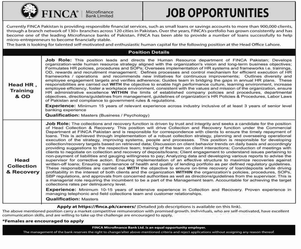 Finca Bank Jobs