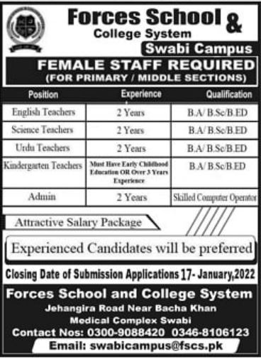 Swabi Jobs