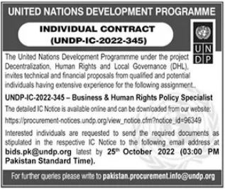 UNDP Jobs